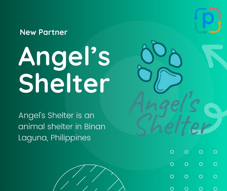Angels Shelter